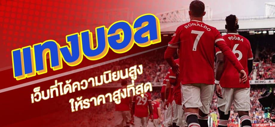 dafabet ทางเข้า