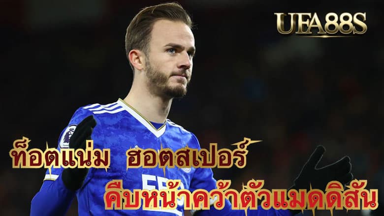 ท็อตแน่ม ฮอตสเปอร์