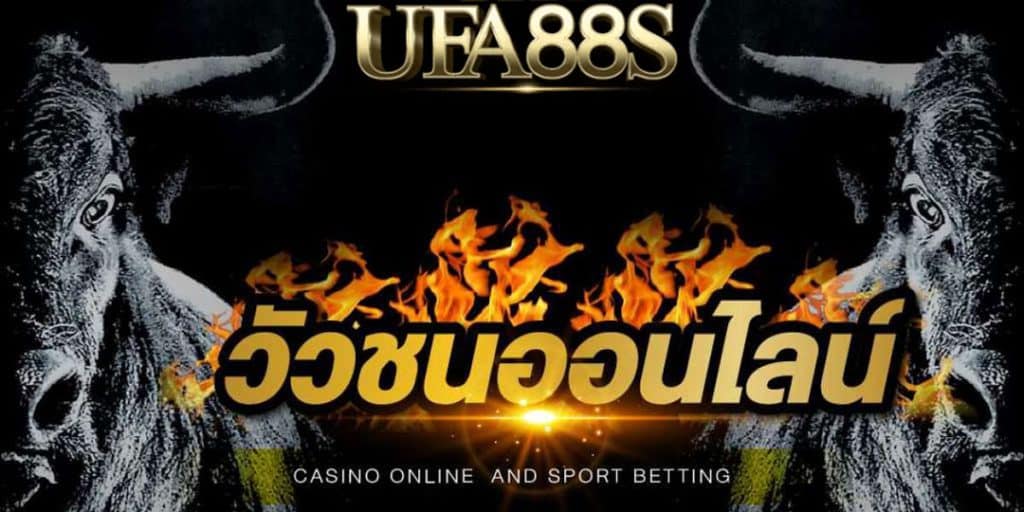ดูวัวชนออนไลน์